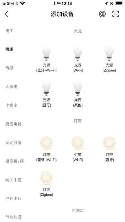 rayzig软件下载