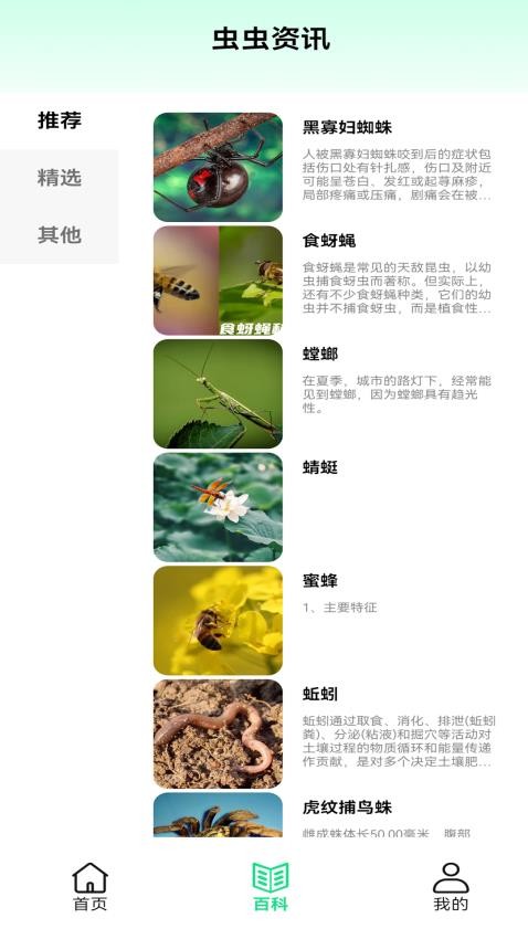 虫虫游乐园APP最新版下载
