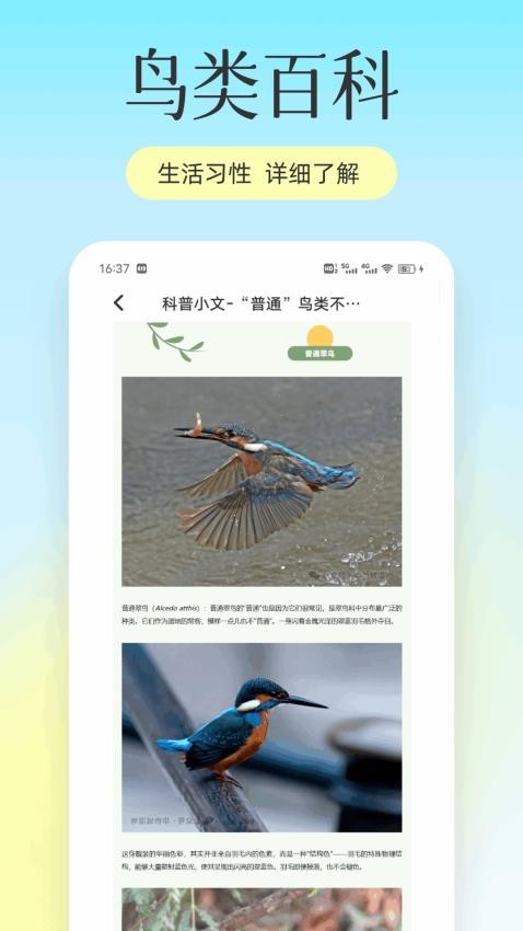回音鸟儿app手机版下载