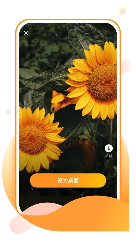 元气手机壁纸app最新版下载