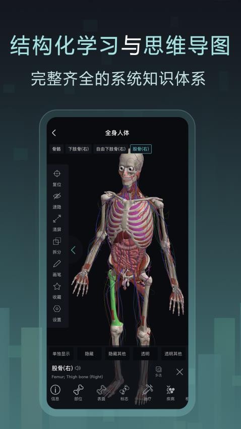 Easy解剖app官方版下载