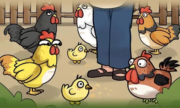 养鸡日记游戏最新版下载