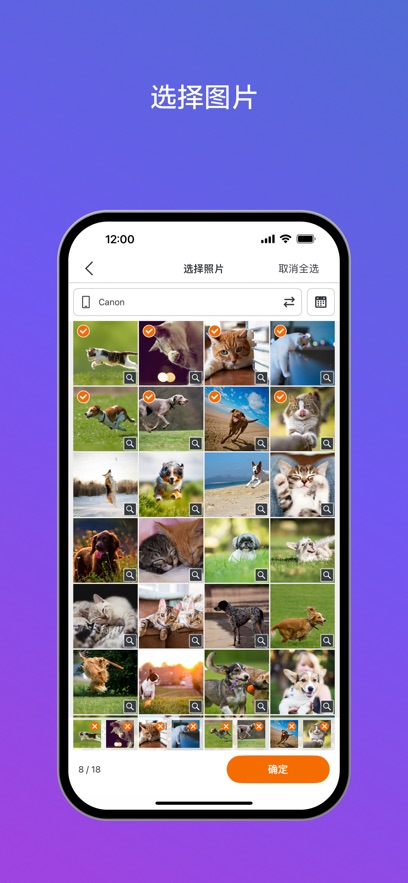 canon selphy photo layout app