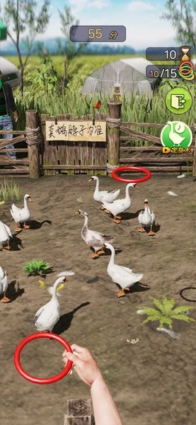 天天套圈无广告下载