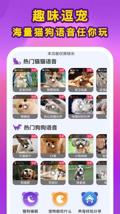 啵啵猫狗语音APP下载