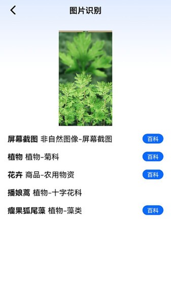 神农百草园识别app下载安装