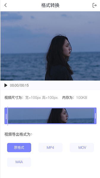 视频转格式大师软件下载免费版