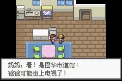 口袋妖怪极光石手机版
